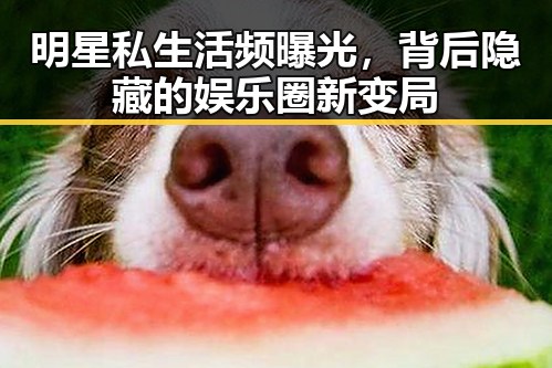 明星私生活频曝光,背后隐藏的娱乐圈新变局