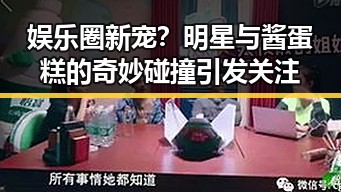 娱乐圈新宠?明星与酱蛋糕的奇妙碰撞引发关注